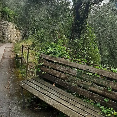 Casaviva - Grazioso Bilocale A Appartamento